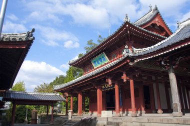 Geleneksel Asyalı alıcı detay görünümü