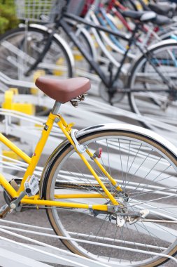 Bisikletler kiralık olarak şehir caddesinde park ediliyor, yakın plan.