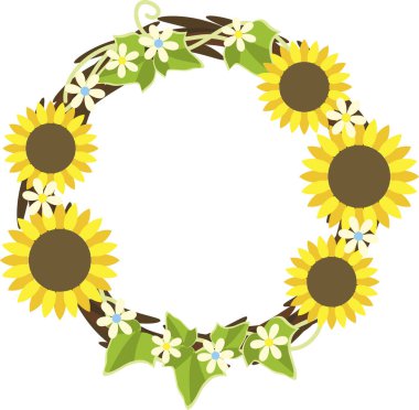 Beyaz Arkaplanda Ayçiçeği Çelengi