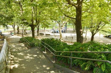 Şehir Parkı yeşil ağaçların