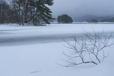 Kış ormanında donmuş nehir