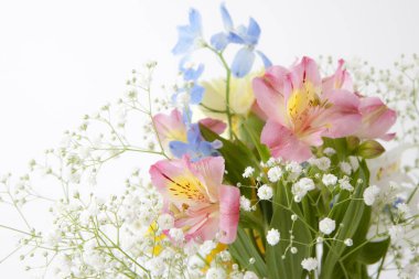 Bir buket parlak çiçek, stüdyo çekimi. 