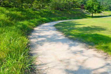 Yeşil Park 'ta patikası olan güzel bir manzara