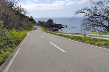 Araba deniz kıyısında yolda. 