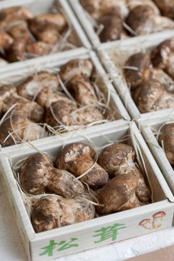 Taze deniz ürünleri, açık hava pazarı...