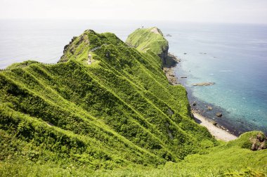Okyanustaki yeşil ada 