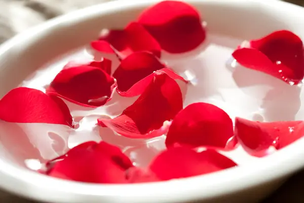 Schöne Rote Rosenblätter Wasser Nahsicht — Stockfoto