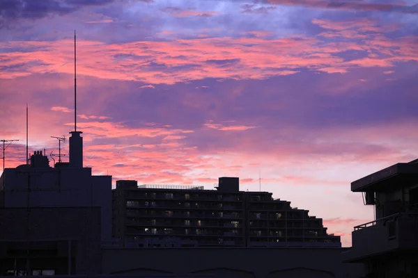 Schilderachtige Foto Van Prachtige Zonsondergang Hemel Met Kleine Wolken — Stockfoto