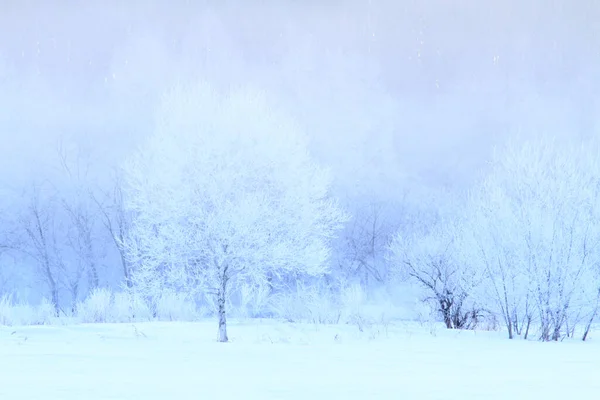 Γραφική Βολή Του Όμορφου Χιονισμένο Τοπίο Για Φόντο — Φωτογραφία Αρχείου