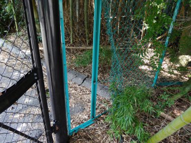 Aşırı gelişmiş bitki ve patikaları çevreleyen yeşil tel örgüler zarar görmüş.