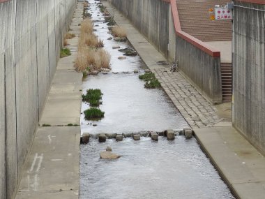Sığ akan su ve dağınık bitkiler içeren dar beton kanallar