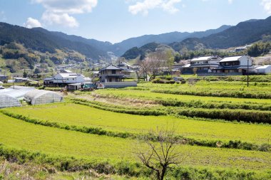 Bahar zamanı Dağ Vadisi 'ndeki Japon köyünün güzel manzarası                             