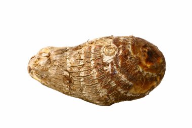 Beyaz arkaplanda izole edilmiş Satoimo patatesi (taro, taro kökü)