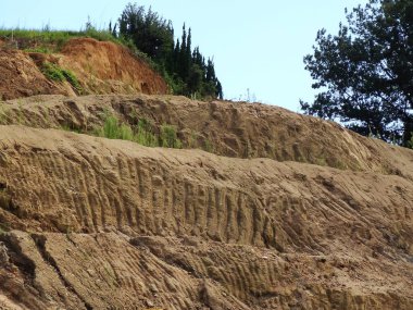 Erimiş kumlu yamaçta açık katmanlar ve seyrek bitki örtüsü görülüyor.