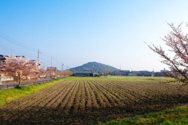 Kırsal alanın güzel manzarası 