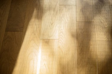 Kahverengi ahşap parke zemin gölgeli