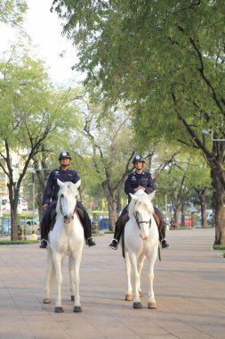 İki polis memuru beyaz ata biniyor.