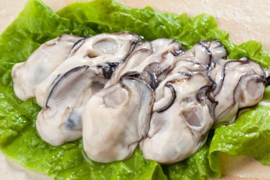 istiridyeler arkaplan görünümünü kapat 