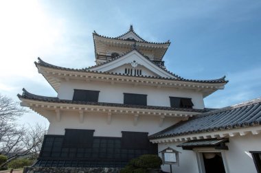 Yeşil Park 'taki antik Osaka Kalesi manzarası 