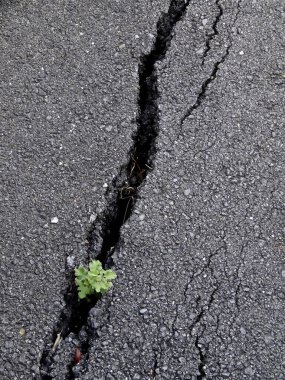 Kırmızı tuğla dokunun arkaplanı