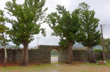 Ağaçları ve bitkileri olan eski taş bir ev.