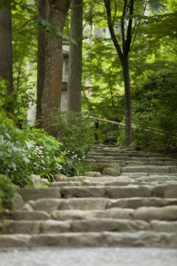 Japonların parktaki merdivenleri doğa geçmişi üzerine