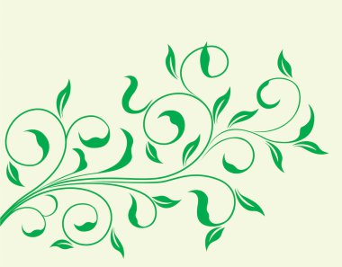 açık arkaplanda yaprakları olan yeşil bitki