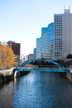 Tokyo City, Japonya 'daki modern gökdelenler