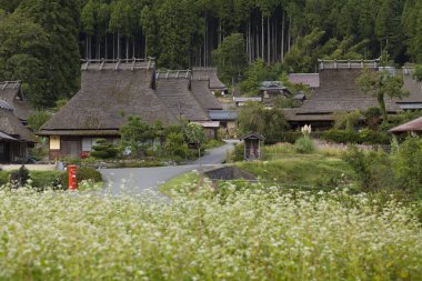 Küçük köy yemyeşil ormanın derinliklerine kurulmuş..