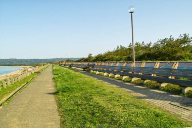 Çimenli alan ve ahşap bankların yanında boş yürüyüş yolu