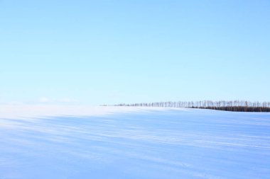 karla kaplı tarla ve mavi gökyüzü 
