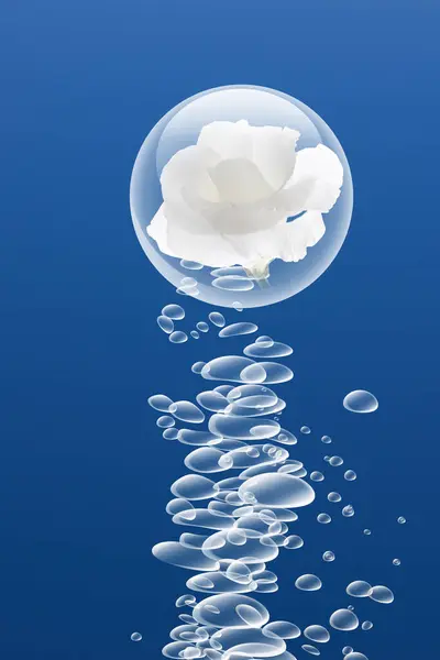 Sötvatten Bubblor Och Vacker Vit Ros Blomma Blå Bakgrund — Stockfoto