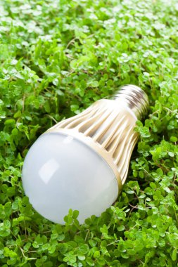 Arka plandaki çimenlikteki ampulü kapat.