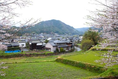 Bahar zamanı Dağ Vadisi 'ndeki Japon köyünün güzel manzarası                             