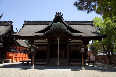 Japonya 'daki Japon tapınağı doğa geçmişi üzerine