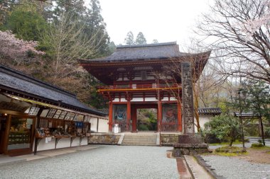 Antik Japon tapınağının manzaralı görüntüsü