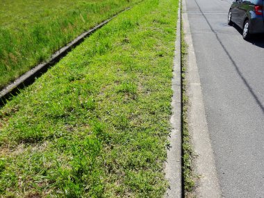 Yol ve izler ve yeşil çimenler, yaklaşın.