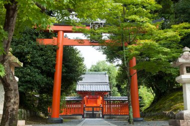 Güzel Japon tapınağı, Budizm konsepti