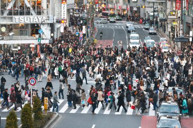 Ördek şehir manzarası, şehir arkaplanı, Japonya 