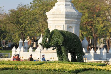 Ziyaretçiler fil şekilli çalı ağacına hayran.
