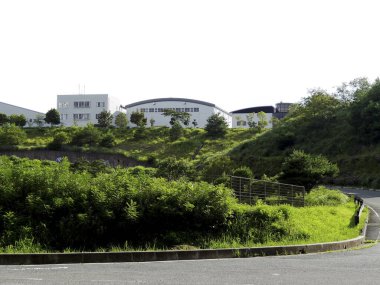 Çağdaş beyaz binalar yemyeşil bitki tepeleriyle çevrili.