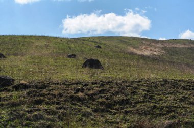 Arkaplan için güzel yeşil tepelerin manzaralı görüntüleri