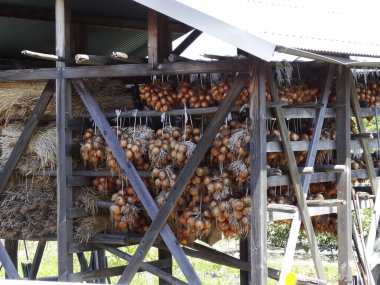 Dışarıdaki ahşap kulübenin içinde soğan demetleri asılı.