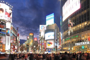 Ördek şehir manzarası, şehir arkaplanı, Japonya 