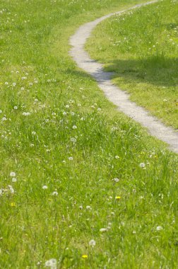 Güzel bahar çiçekleri, patika ve parktaki yeşil çimenler      