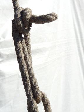 Teknedeki halata yakın durun.