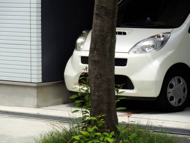 Binanın yakınındaki ağacın arkasına park edilmiş beyaz araba.