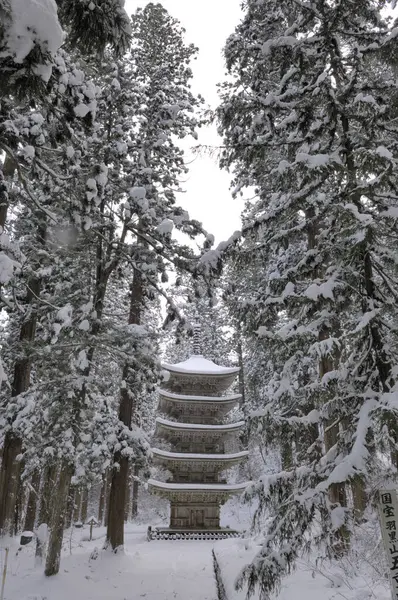 Zimowy Krajobraz Świątynią Pagoda Japonii — Zdjęcie stockowe