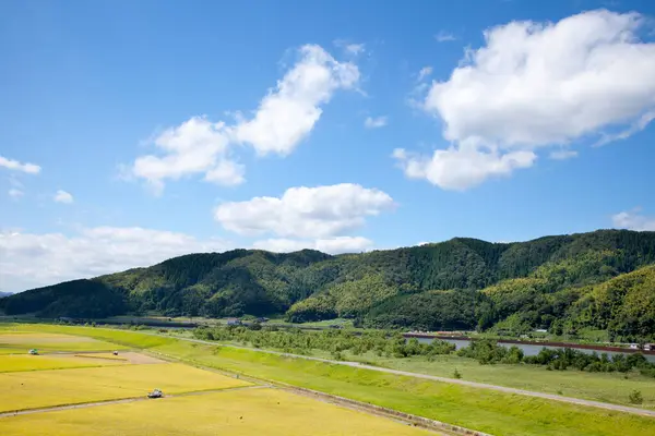 Воздушный Вид Рисовых Полей — стоковое фото