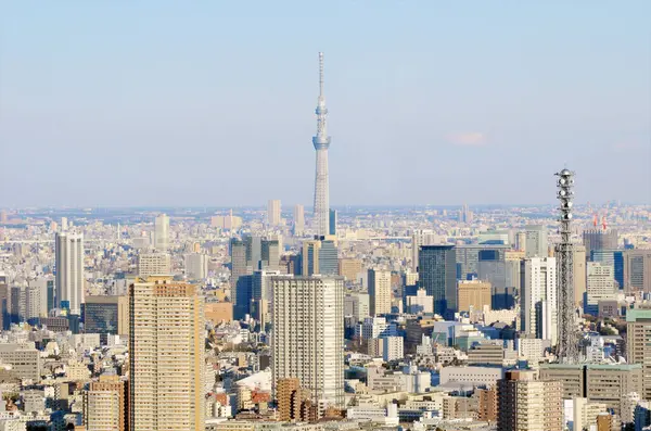 Widok Miasto Tokio Nowoczesny Krajobraz Miejski — Zdjęcie stockowe